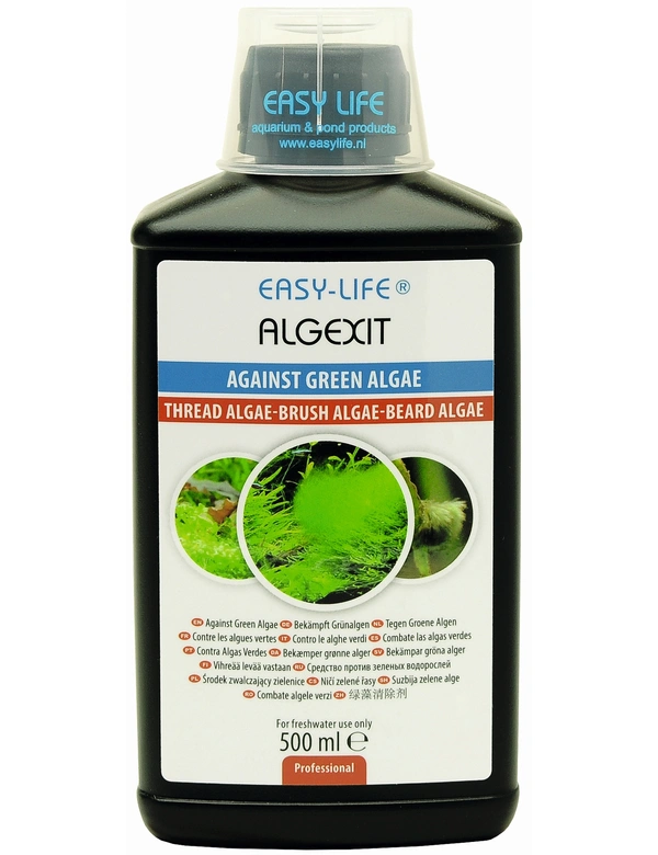 Easy-Life AlgExit