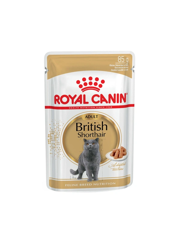 ROYAL CANIN British Shorthair in Soße Multipack