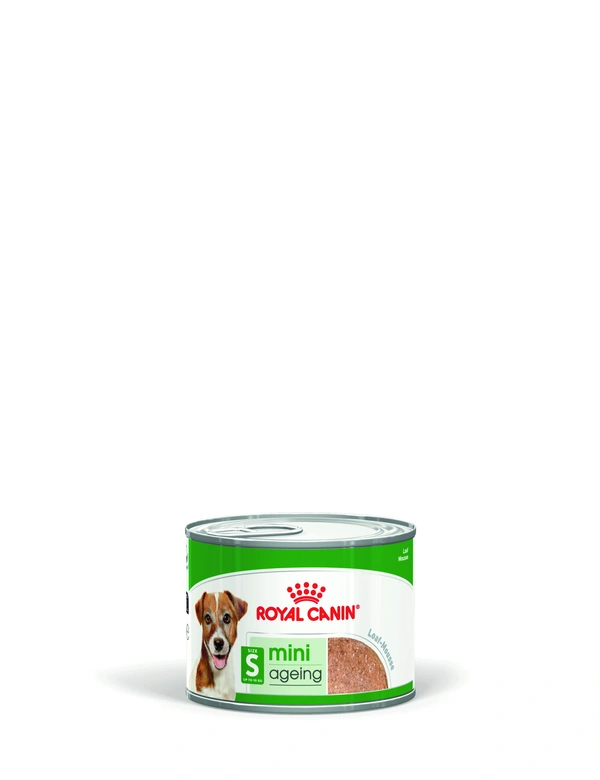 ROYAL CANIN SHN Mini Ageing