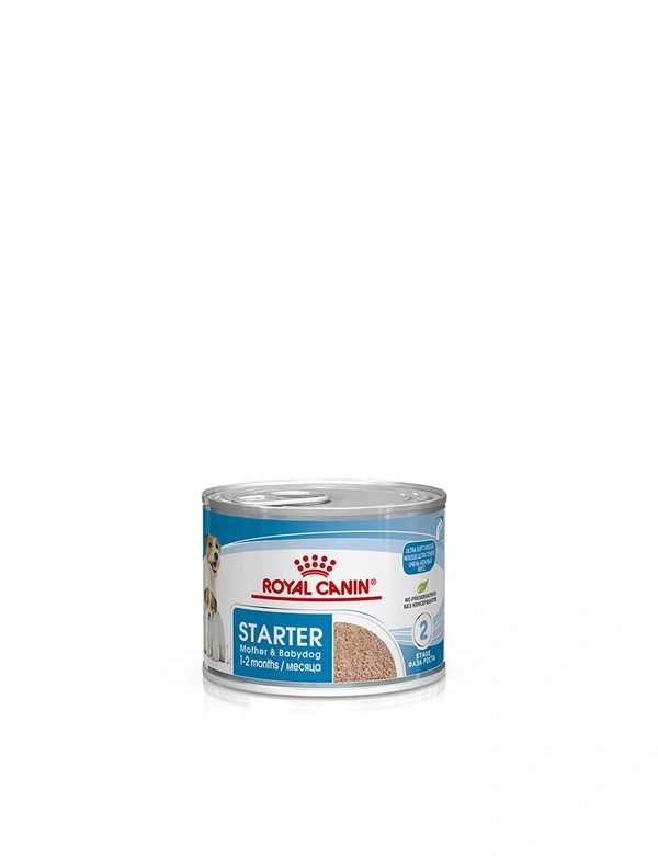ROYAL CANIN Starter Mousse Mother & Babydog