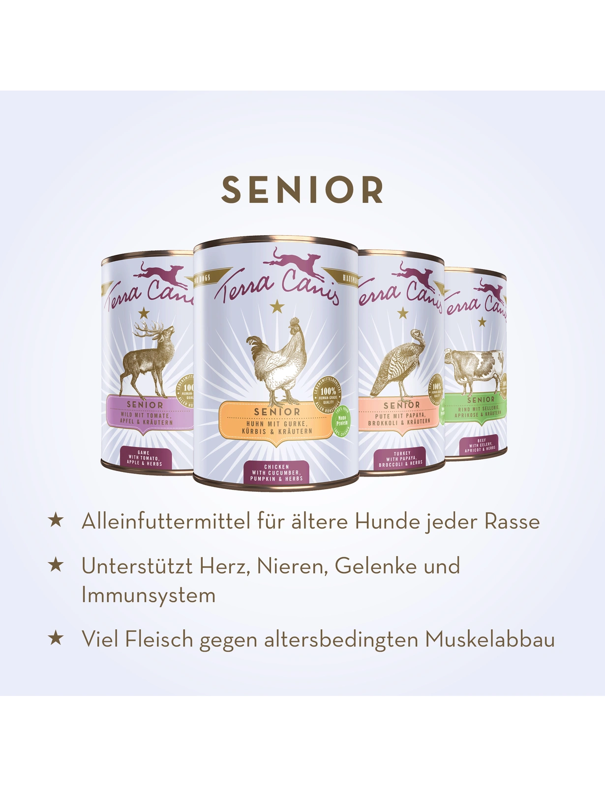 Terra Canis Senior Hundenassfutter – Pute, 800g Dose (6er Pack), Für ältere Hunde