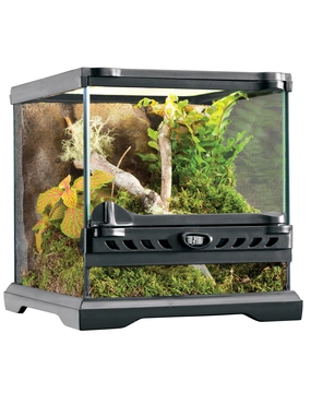 EXO TERRA Glas Terrarium