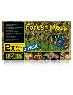 EXO TERRA Moos