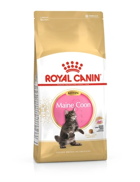 ROYAL CANIN Maine Coon Kitten ROYAL CANIN Maine Coon Kitten