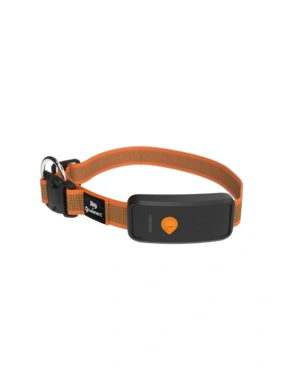 Weenect XT GPS Tracker mit Halsband