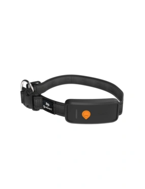 Weenect XT GPS Tracker mit Halsband