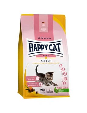 HAPPY CAT YOUNG Kitten