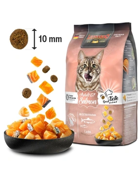 trocken hundefutter test fresh meat Truthahn & Kartoffel Premium-Trockenfutter | mera