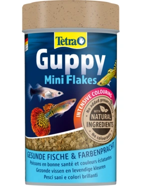 Tetra Guppy