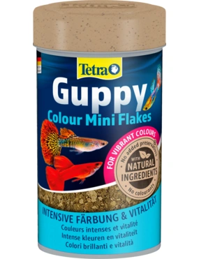 Tetra Guppy Color