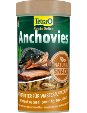 Tetra Anchovies