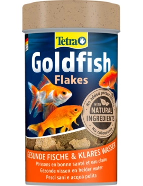 Tetra Goldfish