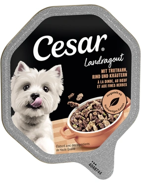 Cesar Landragout Cesar Landragout