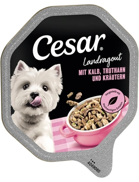 Cesar Landragout Cesar Landragout