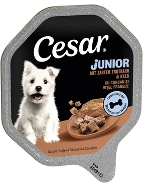 Cesar Junior Cesar Junior