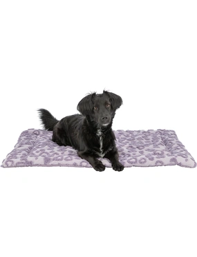 wolfsblut trockenfutter hund Wolfsblut White Cloud Active  Dogspot Tierbedarf