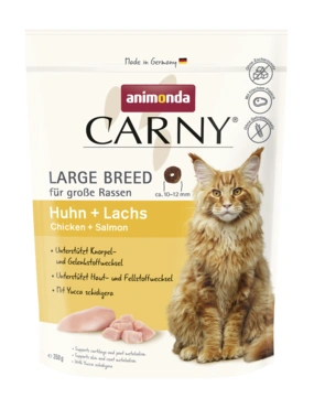 Carny Large Breed