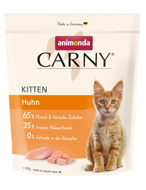 Carny Kitten Carny Kitten