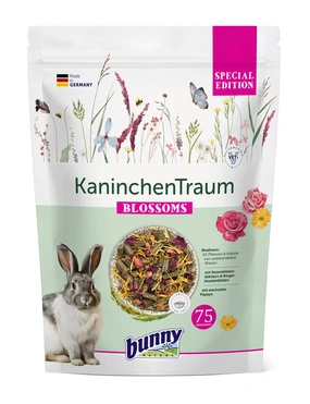 bunny KaninchenTraum Special Edition