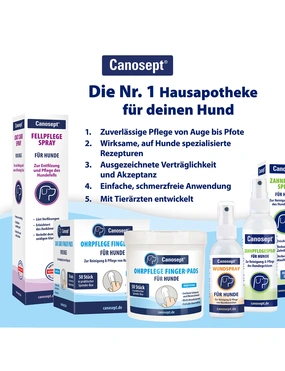 Magenschonendes Hundefutter kaufen| DAS FUTTERHAUS