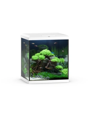 JUWEL Vio Cube 54 Aquarium LED