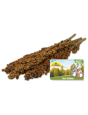 JR Farm Dari-Kolben Nager Snack JR Farm Dari-Kolben Nager Snack