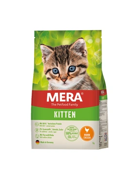 MERA Cats Kitten