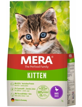 MERA Cats Kitten