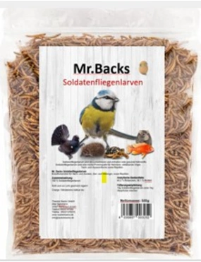 Backs Soldatenfliegenlarven getrocknet