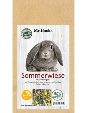 Mr. Backs Sommerwiese