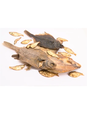 EcoStar Fisch-Mix