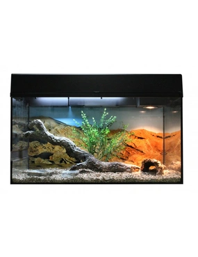 Lucky Reptile Starter Kit Bartagame