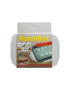 Lucky Reptile HatchBox