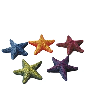 AQUA DELLA Starfish