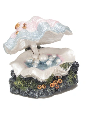 AQUA DELLA Shell