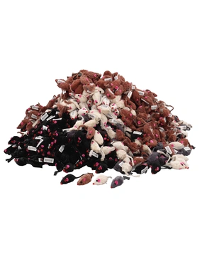 EBI Kurzhaar Fellmaus mit Glocke