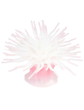 AQUA DELLA Anemone mit Saugnapf