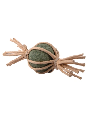 Petlando Earthcat Catnip