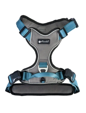 Petlando Magnetech Geschirr