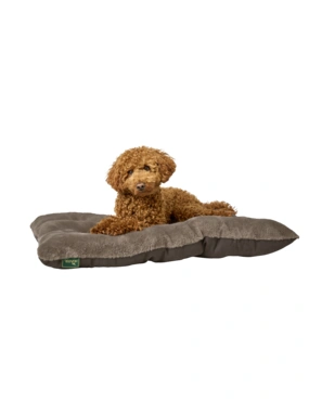 gutes trockenfutter welpen Puppy Truthahn & Reis Trockenfutter | mera main image 1