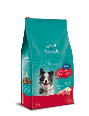 activa Friends Adult