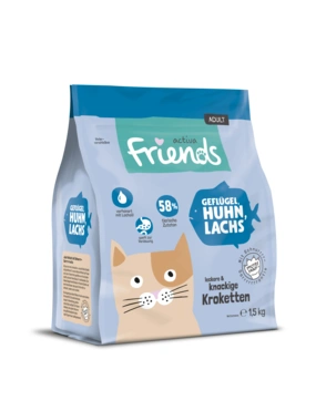 activa friends Adult