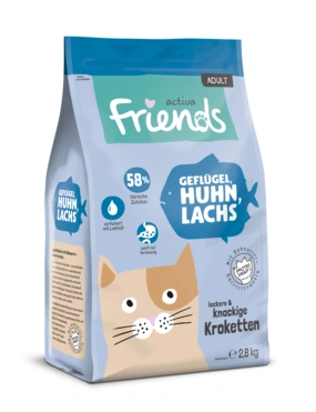 activa friends Adult