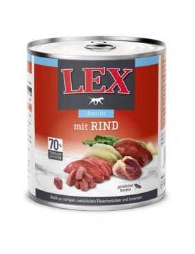 LEX Junior