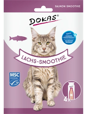 DOKAS Lachs-Smoothie