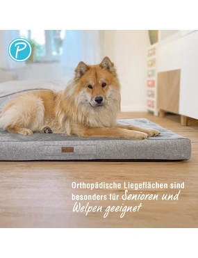 wolters hundespielzeug Strauenei Wolters Hundespielzeug  sorgt fr Spa & Abwechslung   Tierisch tolle Geschenke