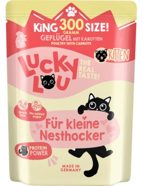 Lucky Lou Kitten