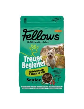 Fellows Treuer Begleiter