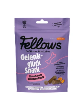 Fellows Gelenkglück