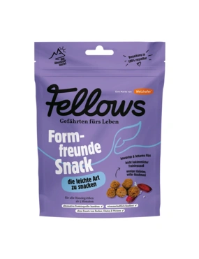 Fellows Formfreunde